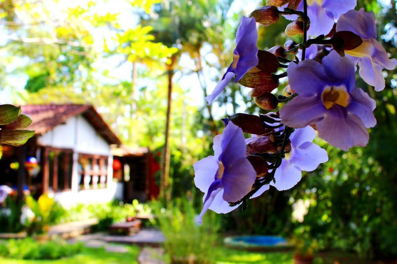Recanto Das Andorinhas Studios Parati Esterno foto